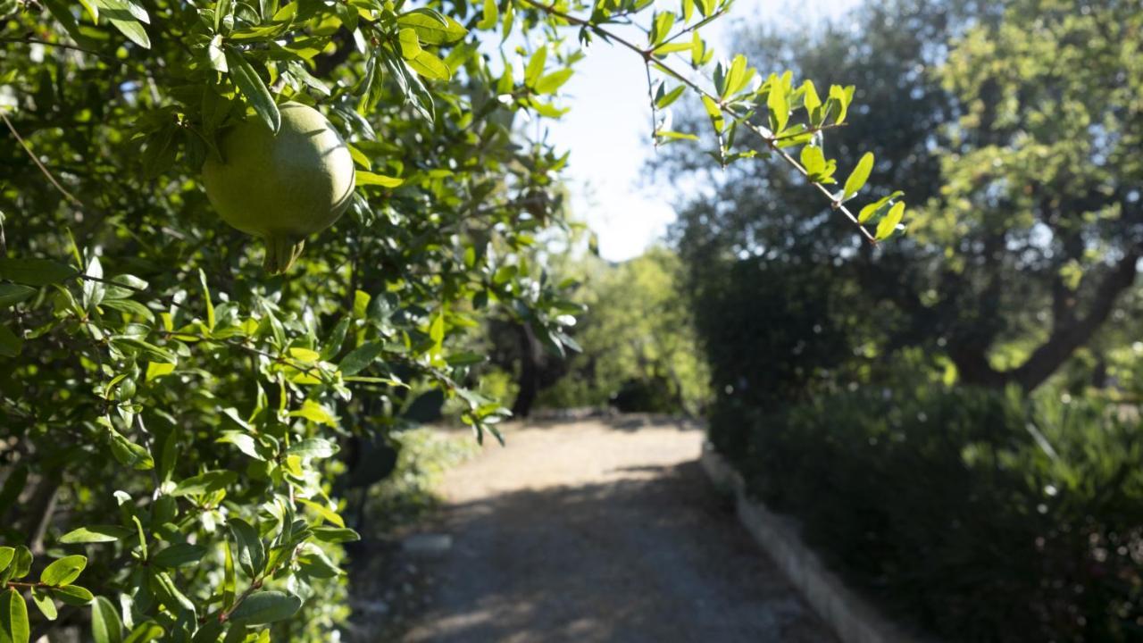 Il Rifugio Nel Verde Monopoli Eksteriør bilde